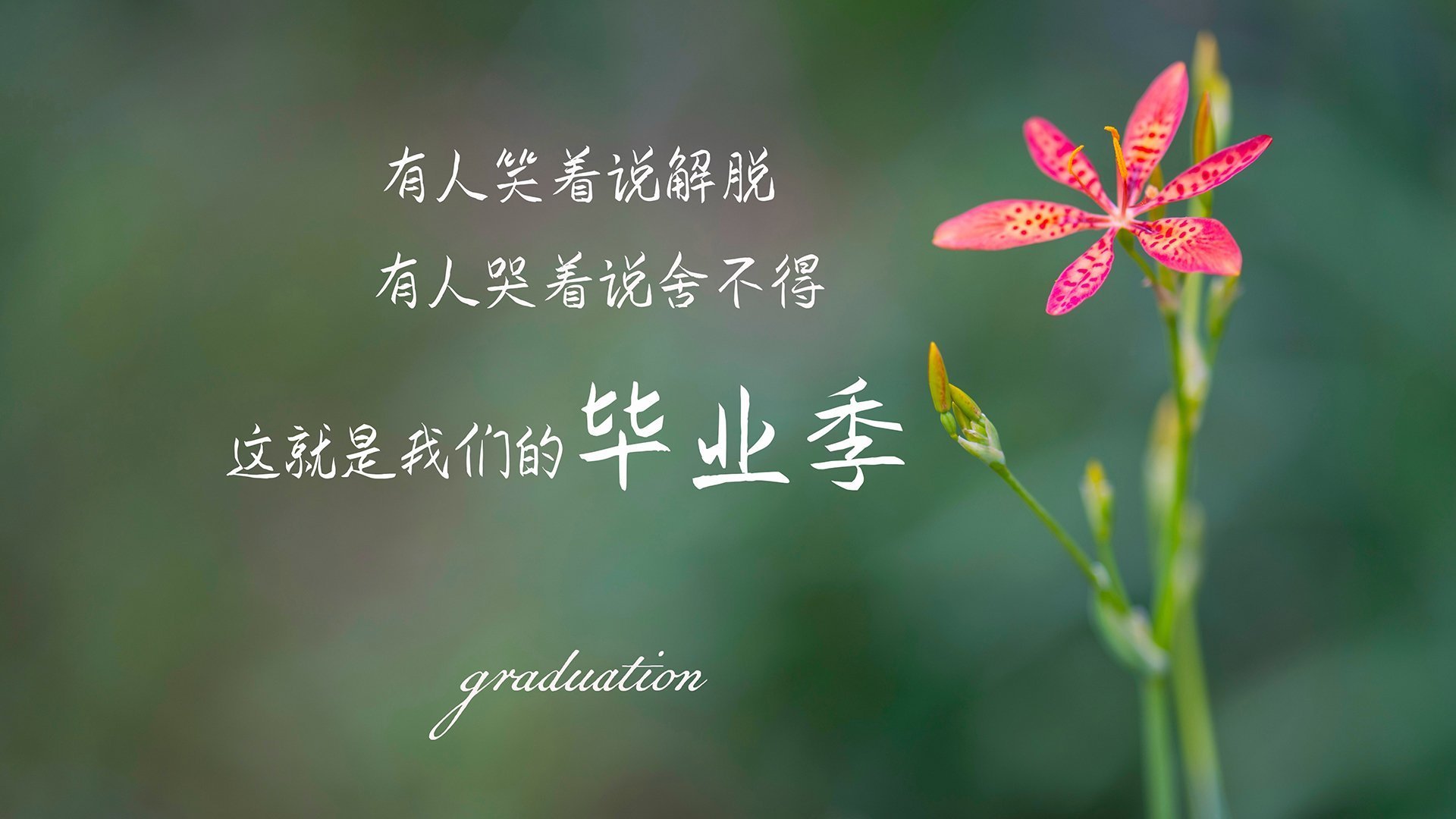 历史的回声，当蒂亚戈照亮诺坎普，一场胜利与百年执念的遥远重逢