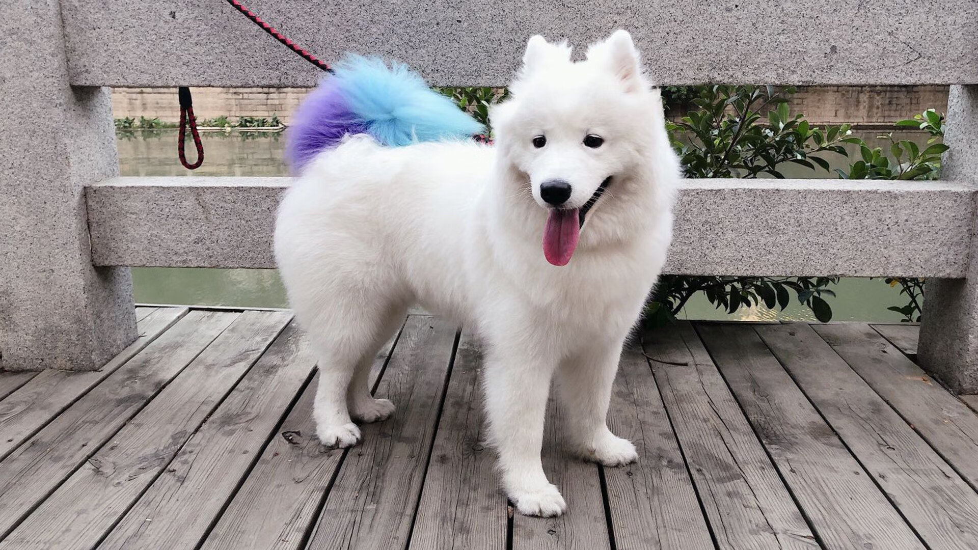 法比尼奥，从利物浦到乌拉圭的灵魂之舞